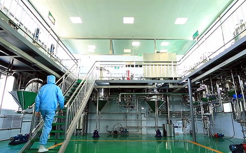 長治高新區(qū) 新品精品名品優(yōu)品 鑫百味老樹核桃油